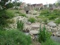 Ein wahres Blütenmeer und jede Menge Natur hat der Dorfplatz in Dürrenmungenau zu bieten. Die Fläche ist Futterwiese für Wildbienen. Spielgeräte aus Holz runden die natürliche Optik ab.