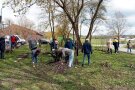 Reges Interesse der Bürgerinnen und Bürger in Wörnitz: Insgesamt 300 kostenlose Obstbäume hat es bei einer Baumabholparty gegeben.