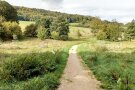 Der Streuobstweg in Schrotsdorf ist ein drei Kilometer langer Rundweg, der an viel Natur vorbeiführt und auf Tafeln jede Menge Wissenswertes zu Flora und Fauna verrät.