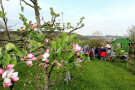 Vor ein paar Jahren hat Baumwartin Barbara Stadlinger einen Schaugarten in Wernsbach im Landkreis Ansbach angelegt. Am „Tag der Streuobstwiese“ hat er die passende Kulisse für den Abschluss der Veranstaltung geboten.