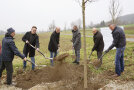 Ehrengäste schaufeln Erde in das Pflanzloch der Linde