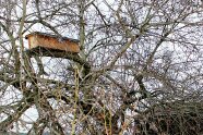 Kisten aus Holz hängen in Bäumen in der Nähe von Schwaighausen. Sie sind neues Zuhause für Steinkäuze