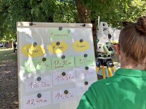 Eine Tafel zeigt, wie viele Meter Besucher des Johannitags in Triesdorf einen Grenzstein geworfen haben.