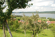 Hinter mit reifen Äpfeln reich behangenen Bäumen, deren Äste mit Stangen gestützt werden müssen, leuchten die roten Dächer eines Dorfes. Im Hintergrund ist der Brombachsee mit einem Bootssteg und Segelbooten.