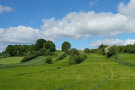 Hecken und Feldgehölze in Affalterbach