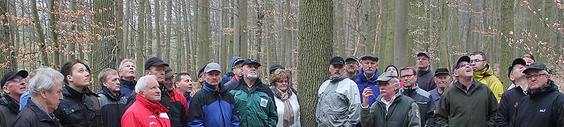 Le Schwerpunkte Waldneuordnung