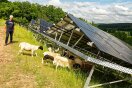 Le Mfr Staatspreis 2022 Klimawandel Solarbiotopverbund Schafe 1 Johannes Maibom