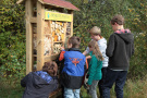 Großes Insektenhotel steht vor einer Hecke. Vier Kinder und eine Frau befüllen die Holzkonstruktion mit Ästen, Holzwolle und Fichtenzapfen.