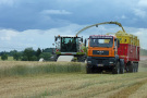 Erntesituation: Häcksler befördert Häckselgut auf den Wagen an einer Zugmaschine, die parallel mitfahren.