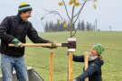 Eine Frau hält einen Anbindepfosten an einem gepflanzten Baum. Ein Mann schlägt mit einem Hammer den Pfosten in die Erde.